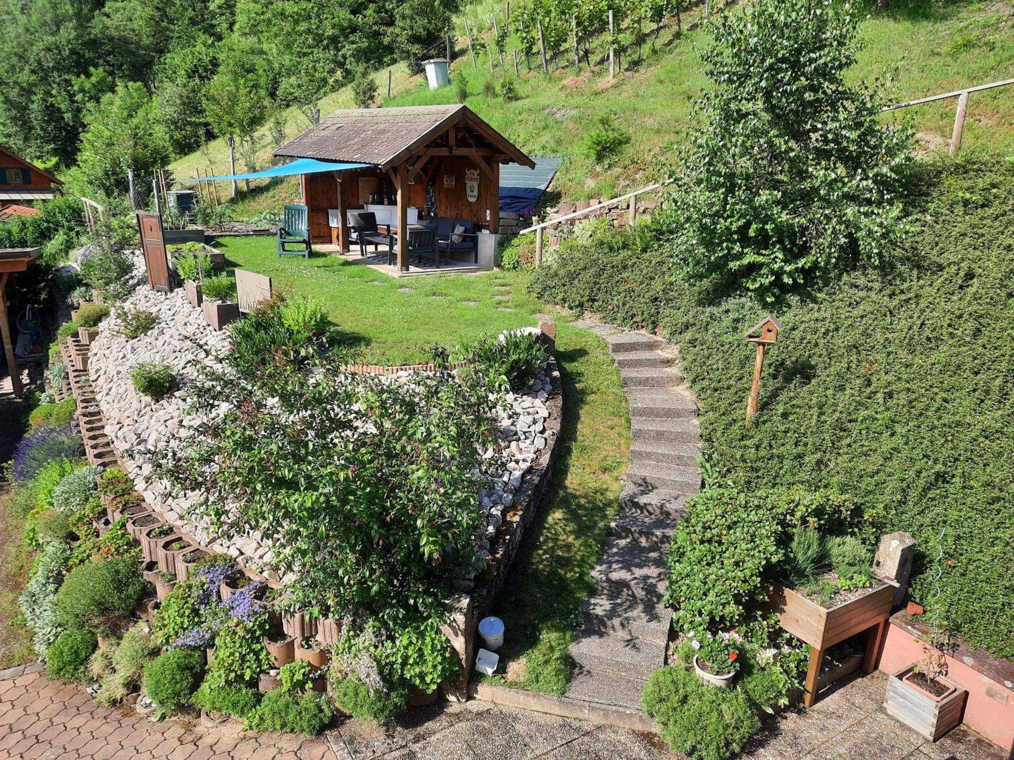 Chambres D'Hotes "Au Val Sejour" Alsace Saint-Martin  Екстер'єр фото