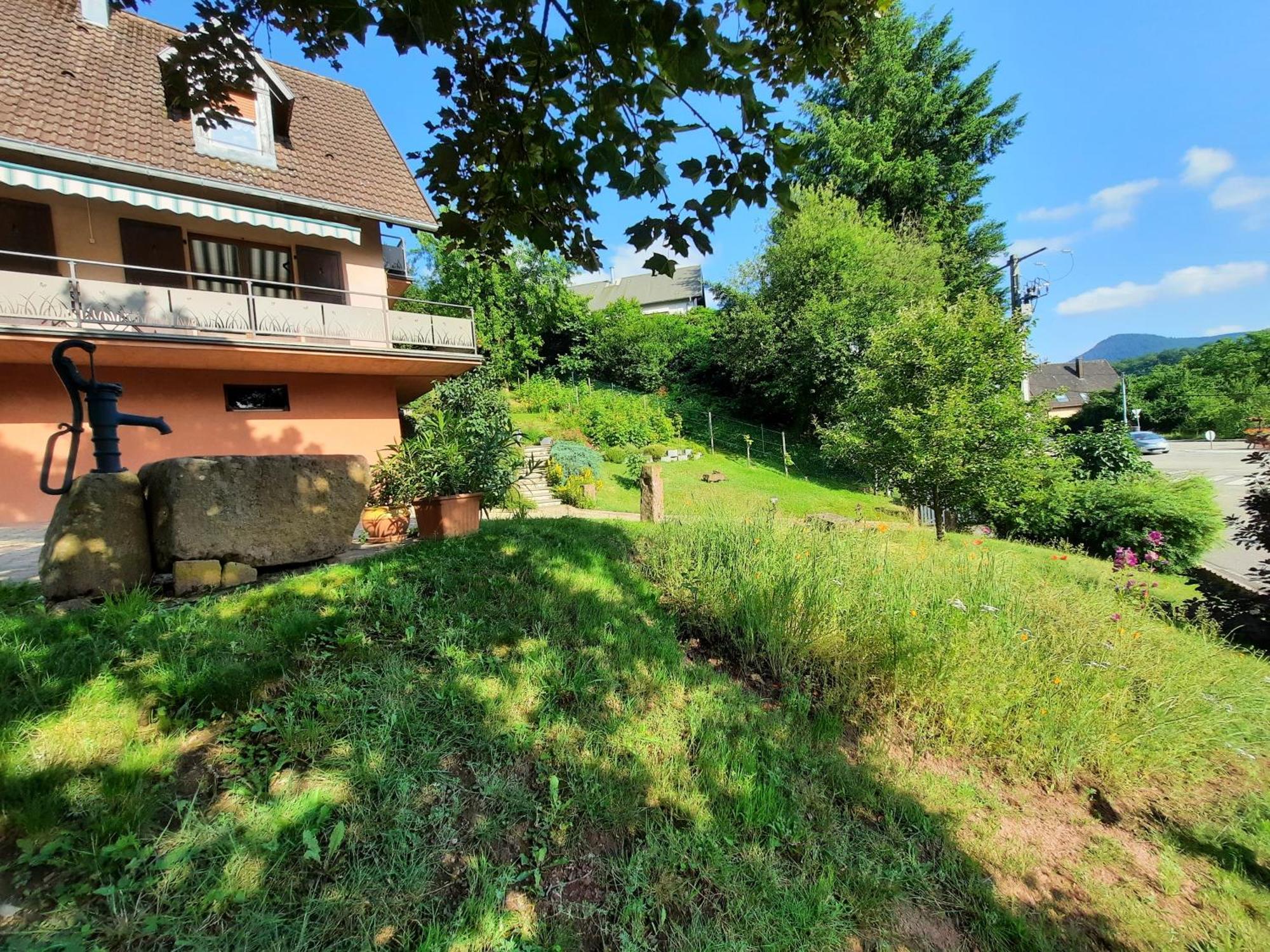 Chambres D'Hotes "Au Val Sejour" Alsace Saint-Martin  Екстер'єр фото