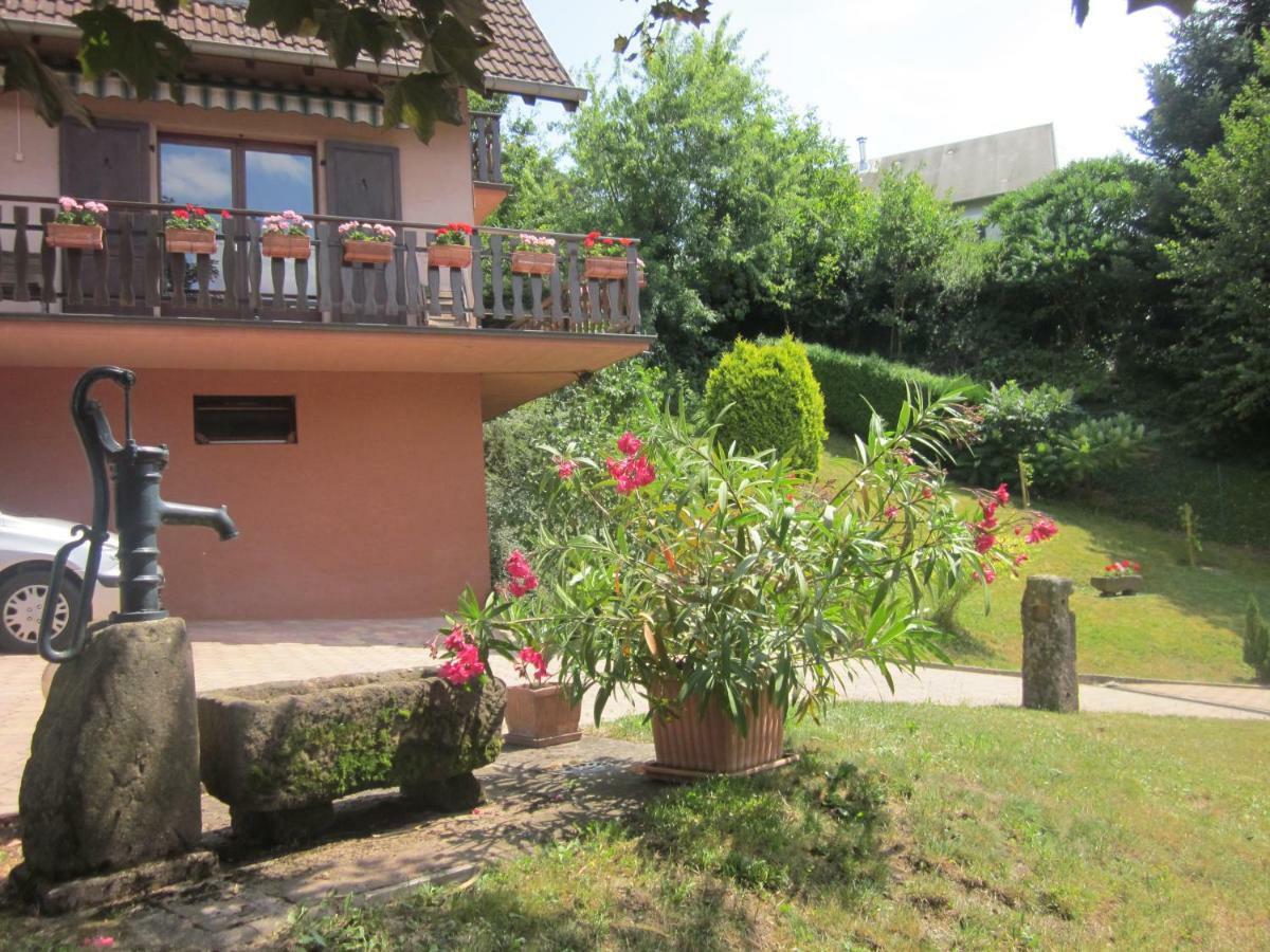 Chambres D'Hotes "Au Val Sejour" Alsace Saint-Martin  Екстер'єр фото