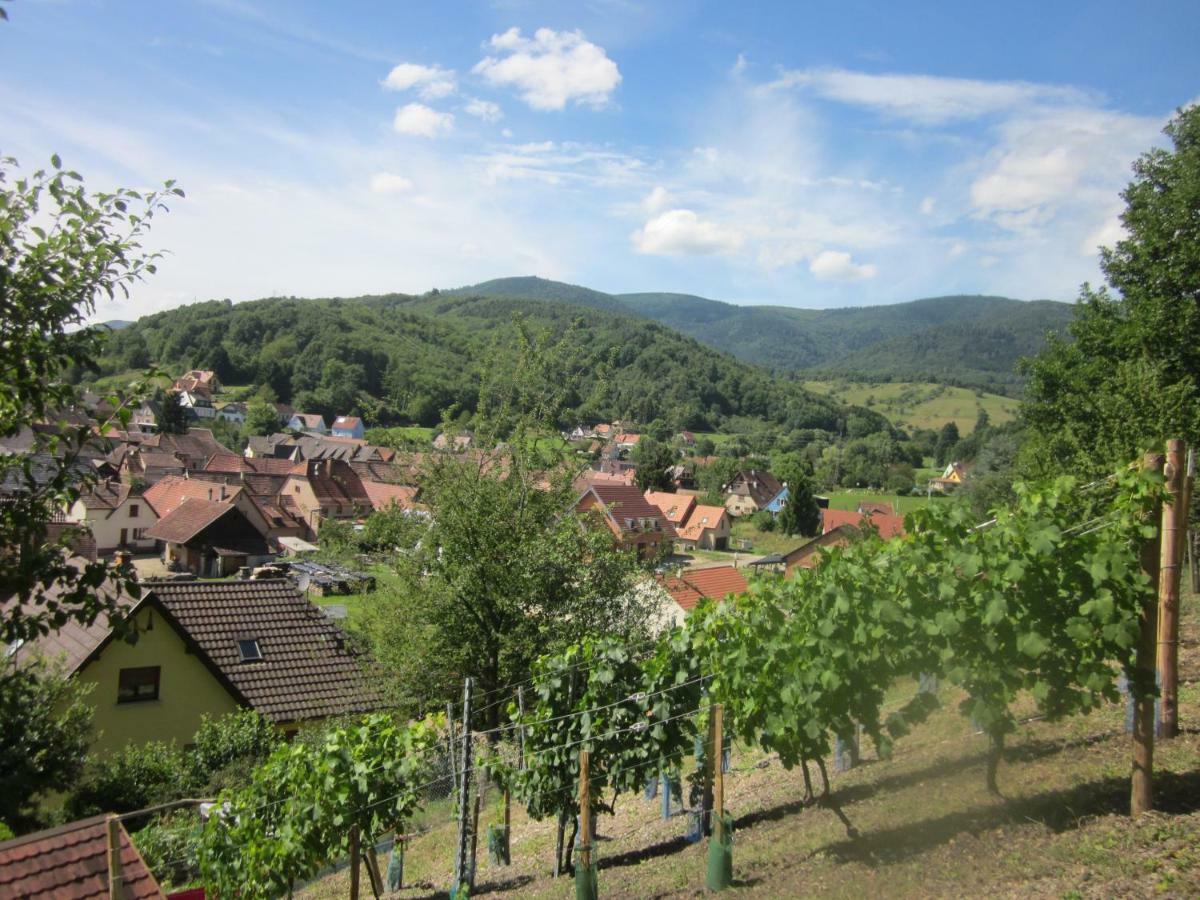 Chambres D'Hotes "Au Val Sejour" Alsace Saint-Martin  Екстер'єр фото